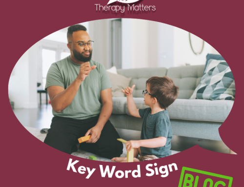 HANDS CAN TALK: GIVING A VOICE THROUGH KEY WORD SIGN