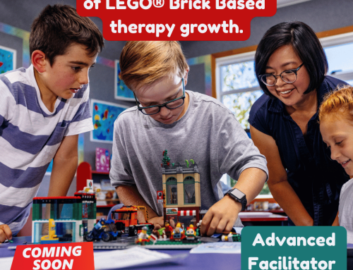 Brick Therapy Training – Advanced Facilitator